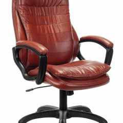 Кресло офисное BRABIX PREMIUM "Omega EX-589", экокожа, коричневое, 532096 в Североуральске - severouralsk.mebel24.online | фото 1