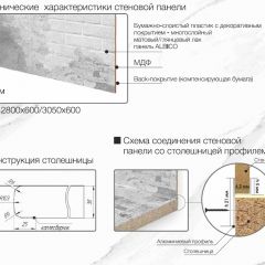 Кухонный фартук со столешницей (А-011) в едином стиле (3050 мм) в Североуральске - severouralsk.mebel24.online | фото 7