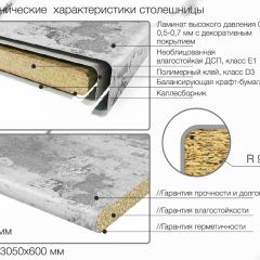 Кухонный фартук со столешницей (А-011) в едином стиле (3050 мм) в Североуральске - severouralsk.mebel24.online | фото 6