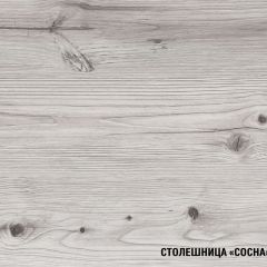 Кухонный гарнитур Сиена мини 1000 мм в Североуральске - severouralsk.mebel24.online | фото 8