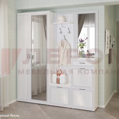 Прихожая Карина композиция 1 (Снежный ясень) в Североуральске - severouralsk.mebel24.online | фото