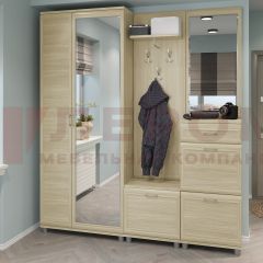 Прихожая Мелисса композиция 1 (Ясень Асахи) в Североуральске - severouralsk.mebel24.online | фото