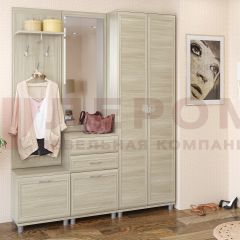 Прихожая Мелисса композиция 11 (Ясень Асахи) в Североуральске - severouralsk.mebel24.online | фото