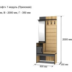 ОЛЬГА-ЛОФТ 1 Прихожая в Североуральске - severouralsk.mebel24.online | фото 4