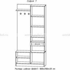 Прихожая София 1 в Североуральске - severouralsk.mebel24.online | фото 3