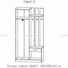 Прихожая София 8 в Североуральске - severouralsk.mebel24.online | фото 2