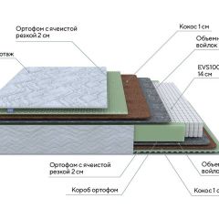 PROxSON Матрас Green M (Tricotage Dream) 120x220 в Североуральске - severouralsk.mebel24.online | фото 10