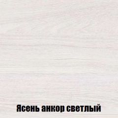 Шкаф 2-х створчатый МСП-1 (Ясень Анкор светлый) в Североуральске - severouralsk.mebel24.online | фото 4
