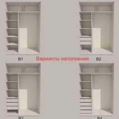 Шкаф-купе 1300 серии SILVER S1+S1+B2+PL2 (2 ящика+1 штанга+1 полка) профиль «Серебро» в Североуральске - severouralsk.mebel24.online | фото 5