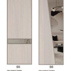 Шкаф-купе 1300 серии SILVER S3+S4+B2+PL4 (2 ящика+F обр.штанга) профиль «Серебро» в Североуральске - severouralsk.mebel24.online | фото 11