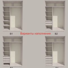 Шкаф-купе 1300 серии SILVER S3+S4+B2+PL4 (2 ящика+F обр.штанга) профиль «Серебро» в Североуральске - severouralsk.mebel24.online | фото 5