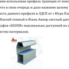 Шкаф-купе 1300 серии SILVER S3+S4+B2+PL4 (2 ящика+F обр.штанга) профиль «Серебро» в Североуральске - severouralsk.mebel24.online | фото 4