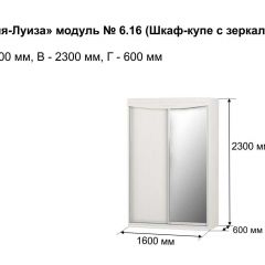 Шкаф-купе 1600 с зеркалом "Мария-Луиза 6.16" в Североуральске - severouralsk.mebel24.online | фото 4