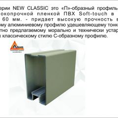 Шкаф-купе 1700 серии NEW CLASSIC K3+K3+B2+PL1 (2 ящика+1 штанга) профиль «Капучино» в Североуральске - severouralsk.mebel24.online | фото 5