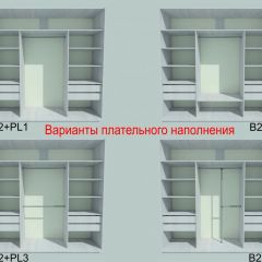 Шкаф-купе 2250 серии SILVER S3+S1+S3Z B22+PL2 (по 2 ящика лев/прав+1штанга+1 полка) профиль «Серебро» в Североуральске - severouralsk.mebel24.online | фото 6