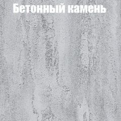 Шкаф-купе Бассо 1.0 (Дуб Крафт серый/Бетонный камень) 2 двери ЛДСП в Североуральске - severouralsk.mebel24.online | фото 3