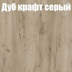 Шкаф-купе Бассо 1.0 (Дуб Крафт серый/Бетонный камень) 2 двери ЛДСП в Североуральске - severouralsk.mebel24.online | фото 4
