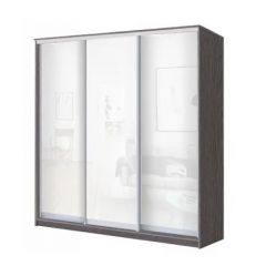 Шкаф-купе ХИТ 24-18/2-888 (620) в Североуральске - severouralsk.mebel24.online | фото 5