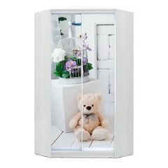 Шкаф-купе ХИТ-У-L-24-64-77 в Североуральске - severouralsk.mebel24.online | фото