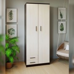 Шкаф распашной ПШ-3.9 в Североуральске - severouralsk.mebel24.online | фото 3