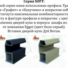 Шкаф-купе 1400 серии SOFT D1+D3+B2+PL1 (2 ящика+1штанга) профиль «Графит» в Североуральске - severouralsk.mebel24.online | фото 5
