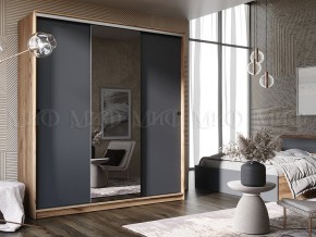 АЛЬЯНС Шкаф-купе 2,0 в Североуральске - severouralsk.mebel24.online | фото