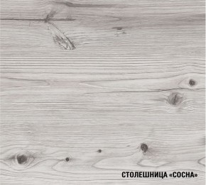 АСАЯ Кухонный гарнитур Экстра (3000 мм) в Североуральске - severouralsk.mebel24.online | фото 8