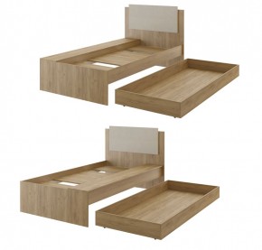 Дуглас (подростковая) М14 Кровать в Североуральске - severouralsk.mebel24.online | фото 2