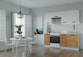 Кухонный гарнитур Лада 2000 (Стол. 38мм) в Североуральске - severouralsk.mebel24.online | фото
