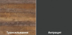 Кухонный гарнитур угловой Трансильвания 2600х1600 мм (Стол. 38 мм) в Североуральске - severouralsk.mebel24.online | фото 3