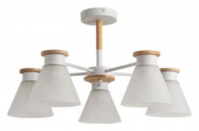 Люстра на штанге Arte Lamp Tyler A1031PL-5WH в Североуральске - severouralsk.mebel24.online | фото 4