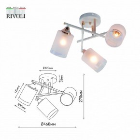 Люстра на штанге Rivoli Tammy Б0059258 в Североуральске - severouralsk.mebel24.online | фото