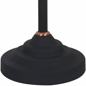 Настольная лампа офисная Arte Lamp Braccio A2054LT-1BK в Североуральске - severouralsk.mebel24.online | фото 4