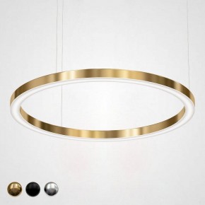 Подвесной светильник Imperiumloft Light Ring Horizontal 40.1454-120 в Североуральске - severouralsk.mebel24.online | фото