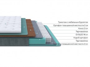 PROxSON Матрас Grace Firm (Трикотаж Prestige Latte) 160x210 в Североуральске - severouralsk.mebel24.online | фото 2