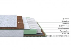 PROxSON Матрас Green Duo M/F (Tricotage Dream) 120x190 в Североуральске - severouralsk.mebel24.online | фото 2