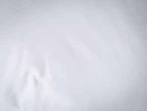 PROxSON Подушка Terra Duo (Сатин Ткань) 50x70 в Североуральске - severouralsk.mebel24.online | фото 9