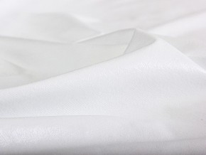 PROxSON Защитный чехол Aqua Save Light Top (Ткань влагостойкая Tencel Jersey) 120x190 в Североуральске - severouralsk.mebel24.online | фото 5