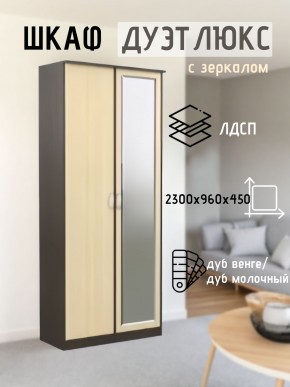Шкаф 2-х створчатый Дуэт Люкс с зеркалом в Североуральске - severouralsk.mebel24.online | фото