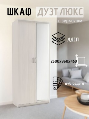 Шкаф 2-х створчатый Дуэт Люкс с зеркалом в Североуральске - severouralsk.mebel24.online | фото 5