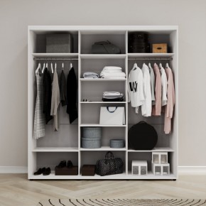 Шкаф-купе Акцент-Сим З 1500-600 в Североуральске - severouralsk.mebel24.online | фото 2