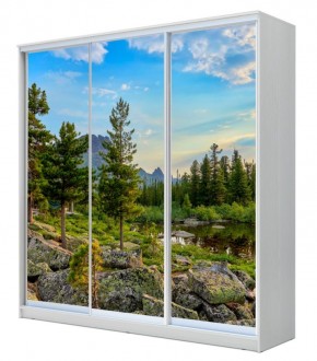 Шкаф-купе ХИТ 22-4-18-777 ПРИРОДА в Североуральске - severouralsk.mebel24.online | фото
