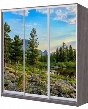 Шкаф-купе ХИТ 22-4-20/2-777 ПРИРОДА в Североуральске - severouralsk.mebel24.online | фото
