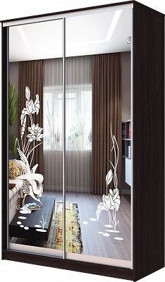 Шкаф-купе ХИТ 23-14-66 ЦАПЛИ в Североуральске - severouralsk.mebel24.online | фото