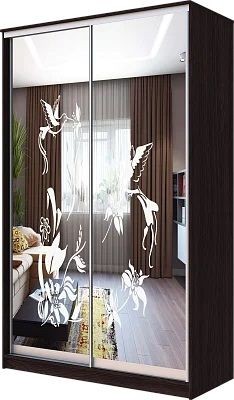 Шкаф-купе ХИТ 23-4-12/2-66 КОЛИБРИ в Североуральске - severouralsk.mebel24.online | фото