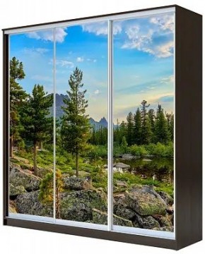 Шкаф-купе ХИТ 23-4-18-777 ПРИРОДА в Североуральске - severouralsk.mebel24.online | фото