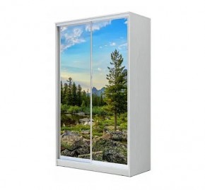 Шкаф-купе ХИТ 24-12/2-77 (620) в Североуральске - severouralsk.mebel24.online | фото 1