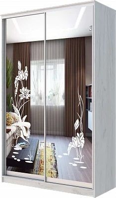 Шкаф-купе ХИТ 24-14-66 ЦАПЛИ в Североуральске - severouralsk.mebel24.online | фото