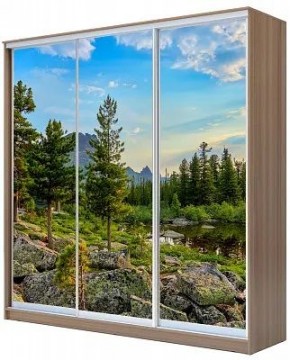 Шкаф-купе ХИТ 24-20/2-777 ПРИРОДА в Североуральске - severouralsk.mebel24.online | фото