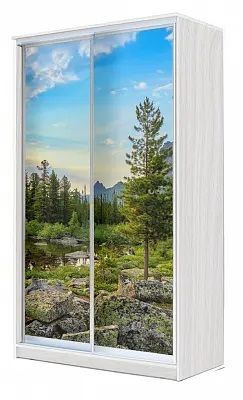Шкаф-купе ХИТ 24-4-15-77 ПРИРОДА в Североуральске - severouralsk.mebel24.online | фото